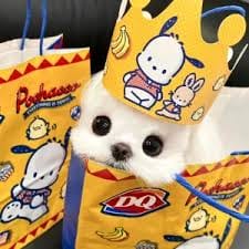 Alden Richards avatar